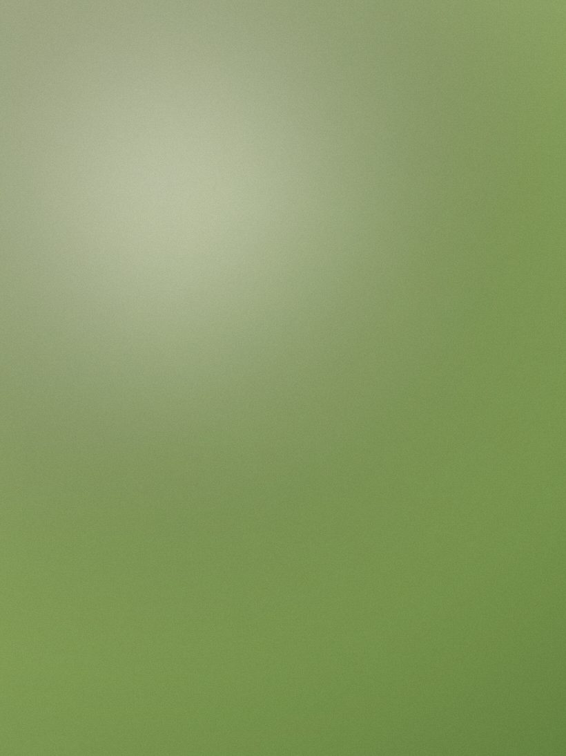 朝霧