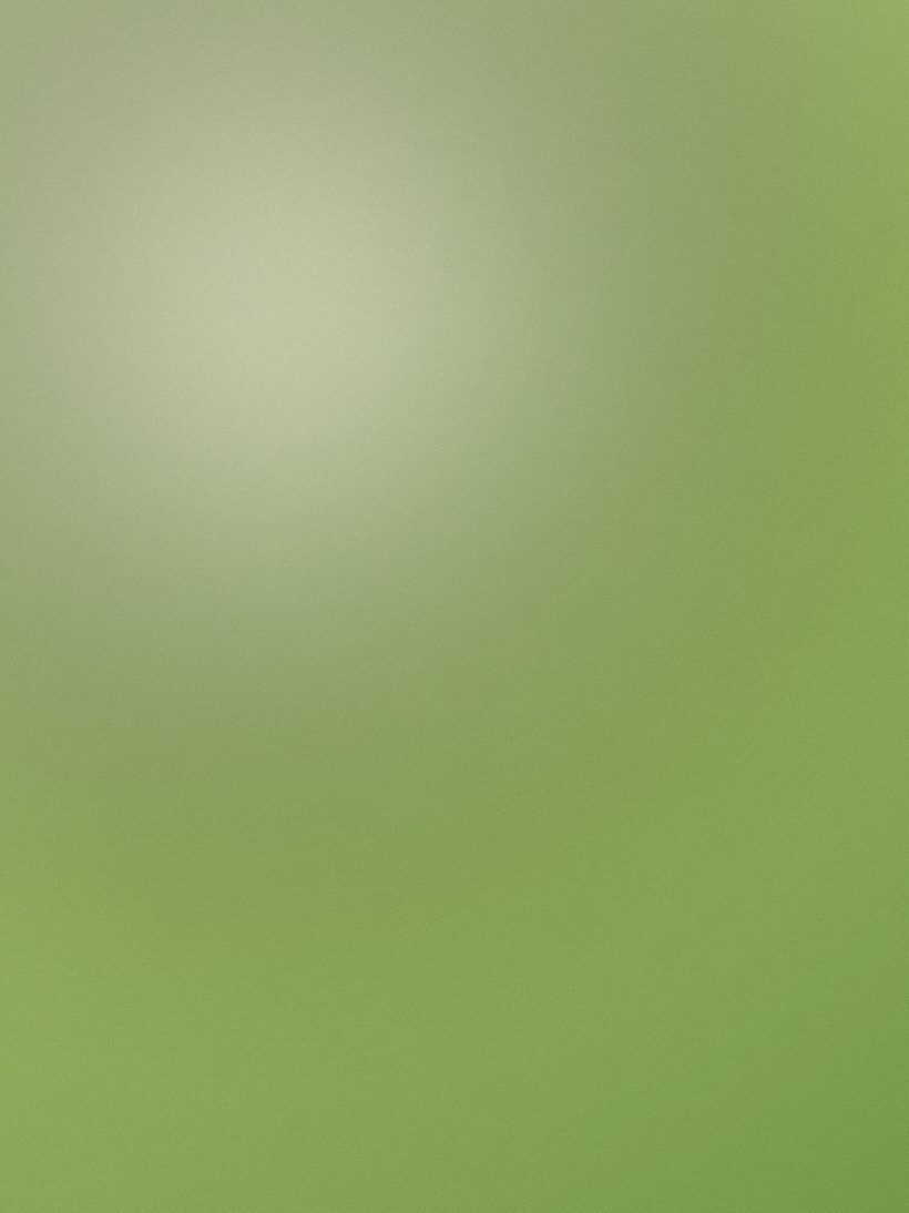 立夏の新茶
