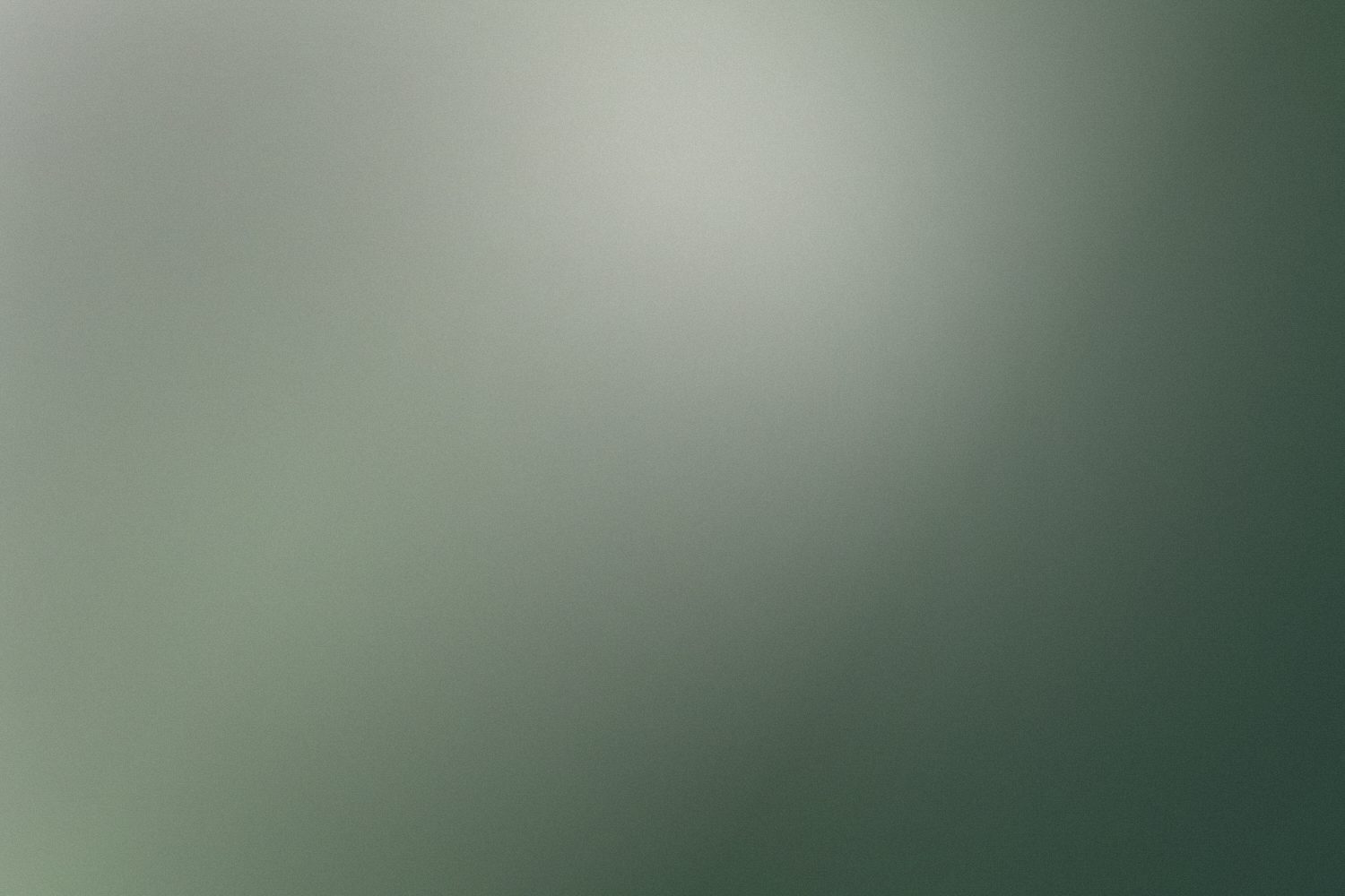 茶園